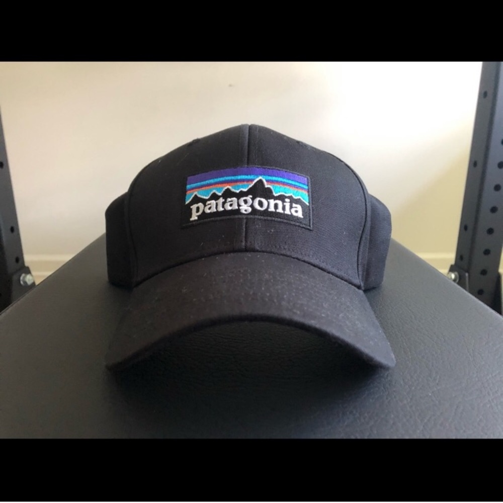 Patagonia P-6 Logo snapback hat